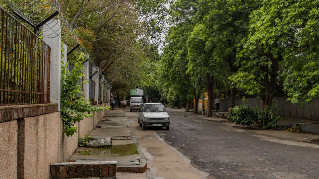 A tree-lined residential street in a South East Delhi colony, representative of Maharani Bagh and New Friends Colony