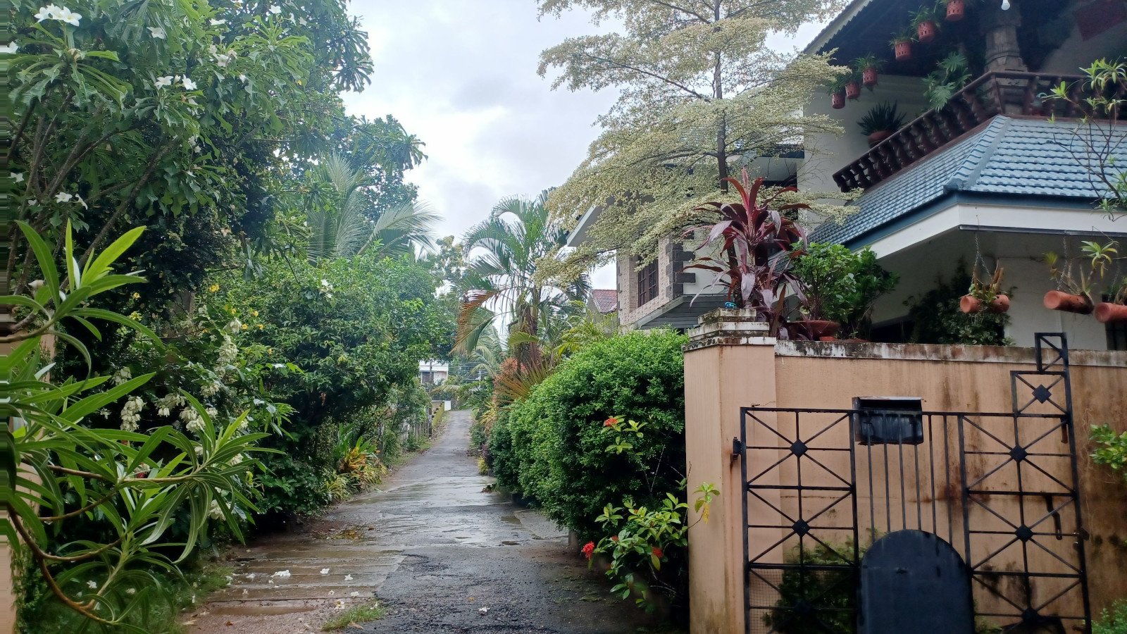 Leafy low-rise residential street representative of South Delhi premium enclaves