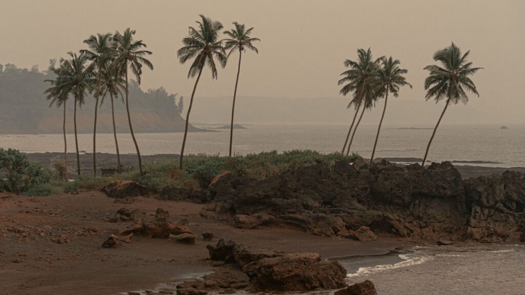 A coastal village scene in South Goa, representative of the Benaulim, Majorda and Varca second-home belt